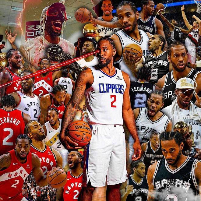 合规更新引 合规更新引